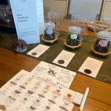 Home Tea Brewing Workshop in Phuket - photo 1